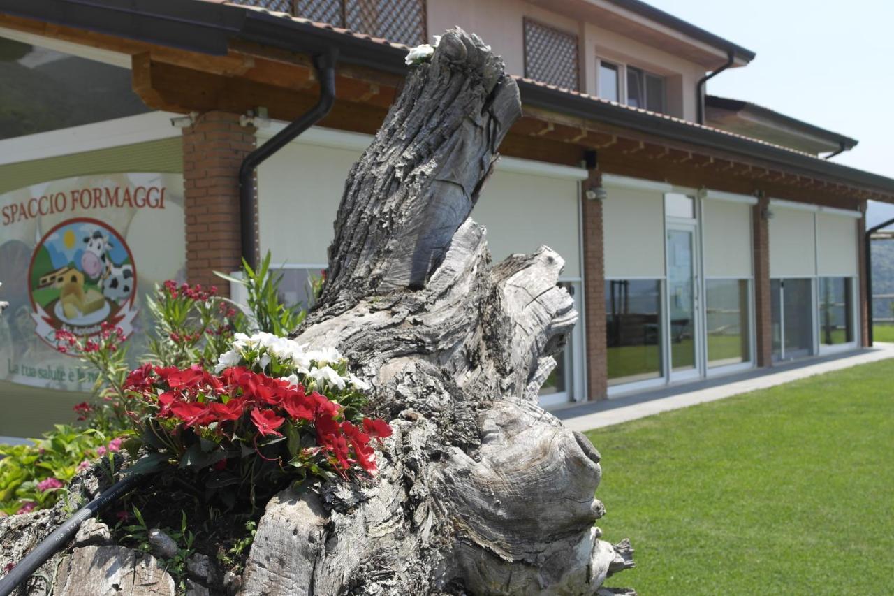 Agriturismo Fattoria Monte Baldo Vista Lago Caprino Veronese Buitenkant foto