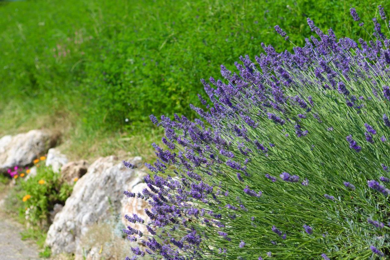 Agriturismo Fattoria Monte Baldo Vista Lago Caprino Veronese Buitenkant foto